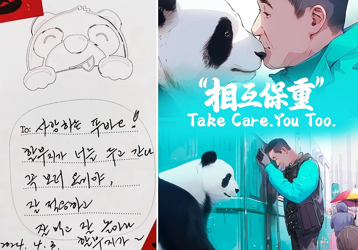 La foto muestra la carta escrita a Fu Bao por su cuidador Kang Cherwon (izquierda) y una caricatura publicada en Ipanda, un sitio web dirigido por la Televisión Central de China y dedicado a los pandas. | Cuentas oficiales deXiaohongshu de Muyue Qinglan Hostel y iPanda en Instagram