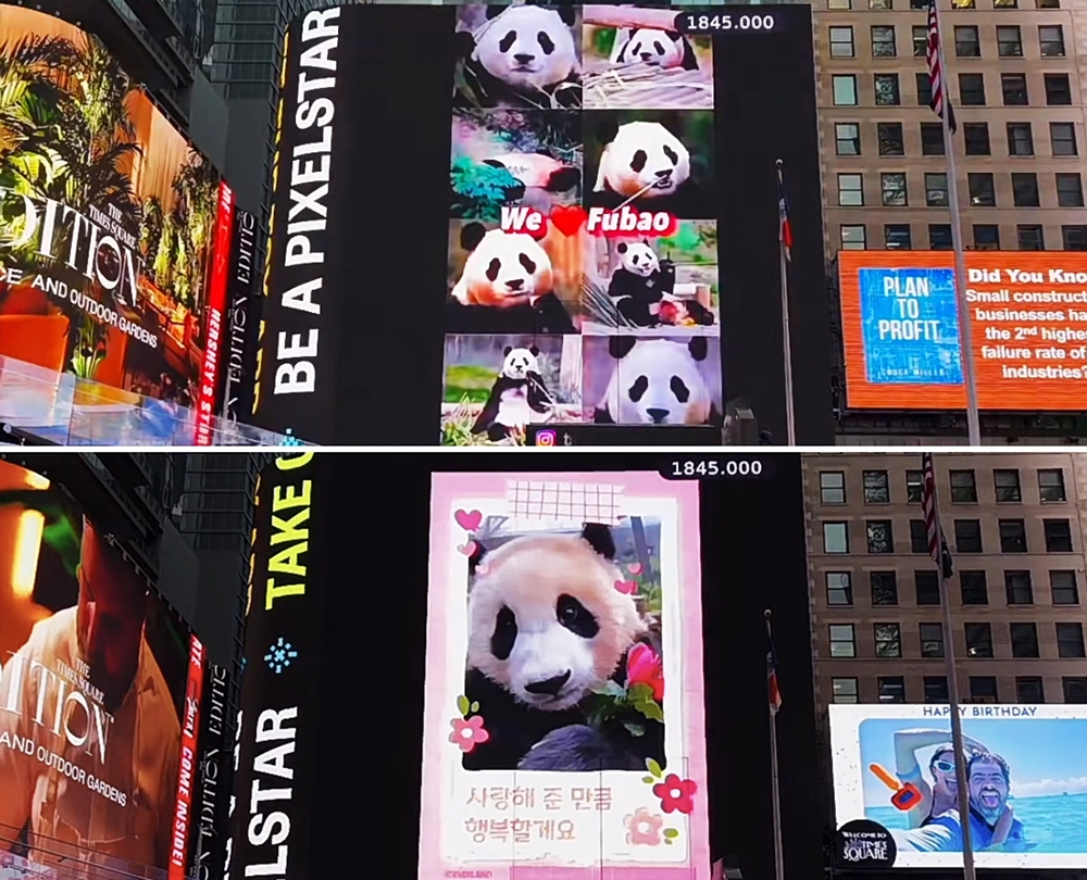 La foto muestra varios carteles publicitarios en los que aparecen fotos de Fu Bao y mensajes de amor, instalados en el Times Square, en Nueva York, Estados Unidos. |Captura de pantalla de TSX Livestream