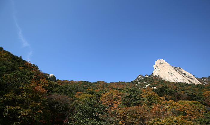 북한산국립공원 도봉산이 29일 파란 가을 하늘 아래 단풍으로 물들고 있다. 