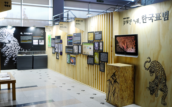 Korean_Leopards_Exhibition_01.jpg