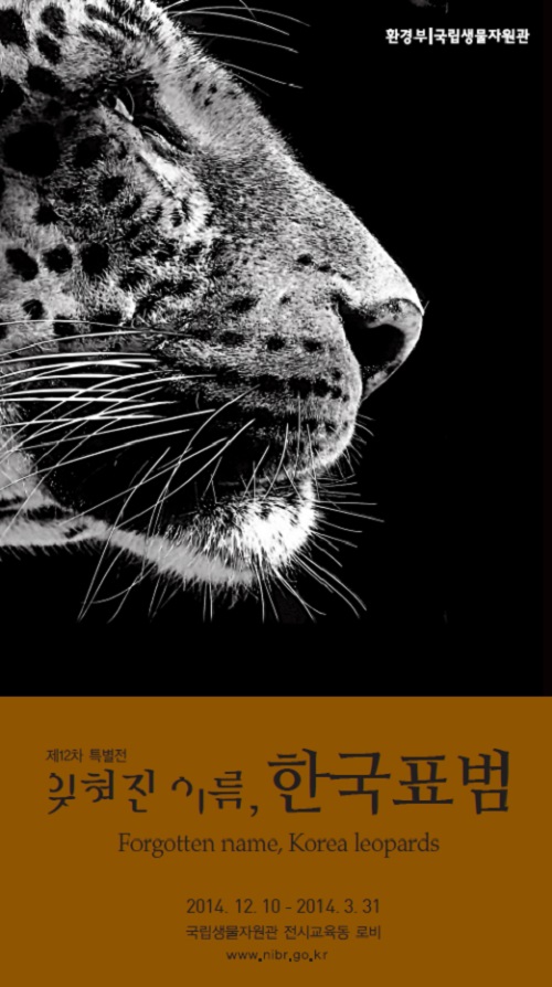 The official poster for the “Forgotten Name, Korean Leopards” exhibition.