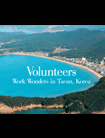 Trabajo voluntario en Taean