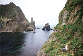 dokdo_t.jpg