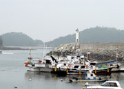 Festival de Productos de Mar del Puerto de Mohang, en Taean