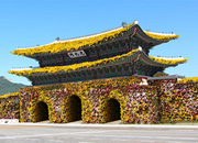 Gran Festival del Crisantemo en Hampyeong