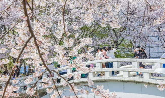 La KTO selecciona 6 lugares recomendados para disfrutar de las flores de primavera