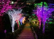 Festival del Lago con luz de estrellas en Chuncheon