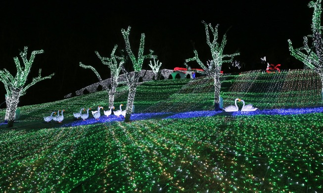 El festival de luces de la Provenza de Cheongdo presenta las cien pinturas más famosas del mundo