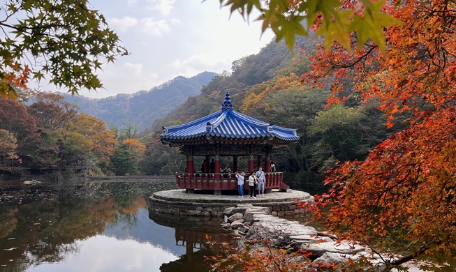 Un paseo de otoño por la montaña Naejangsan