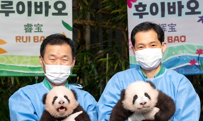 Las primeras pandas gigantes gemelas nacidas en Corea se llaman Rui Bao y Hui Bao