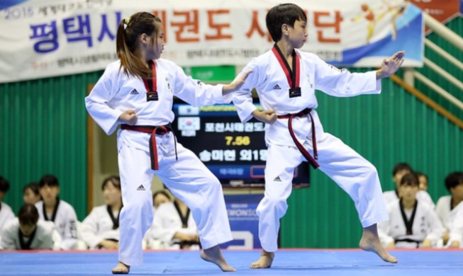 Centro Cultural Coreano de México dará clases de Taekwondo en línea
