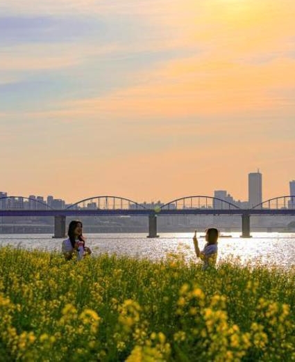 ¿Cuáles son los sitios más emblemáticos de Seúl según los residentes coreanos y extranjeros?