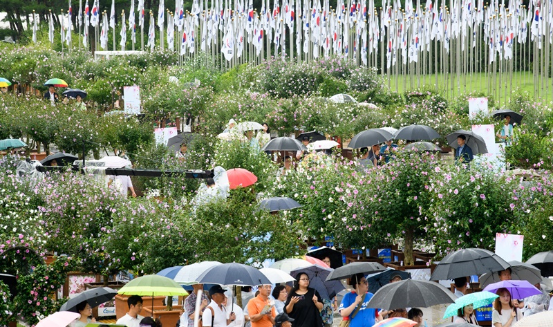 A pesar de la fuerte lluvia del 15 de agosto, aproximadamente 2.000 visitantes asistien a la celebración del 74º Día de la Liberación. Bajo el lema "Luz recuperada, camino que iluminaremos juntos", la ceremonia conmemorativa del Día de la Liberación se celebró en el Salón de la Independencia de Corea en Cheonan, por primera vez desde 2004. | Estudio Hyoja-dong
