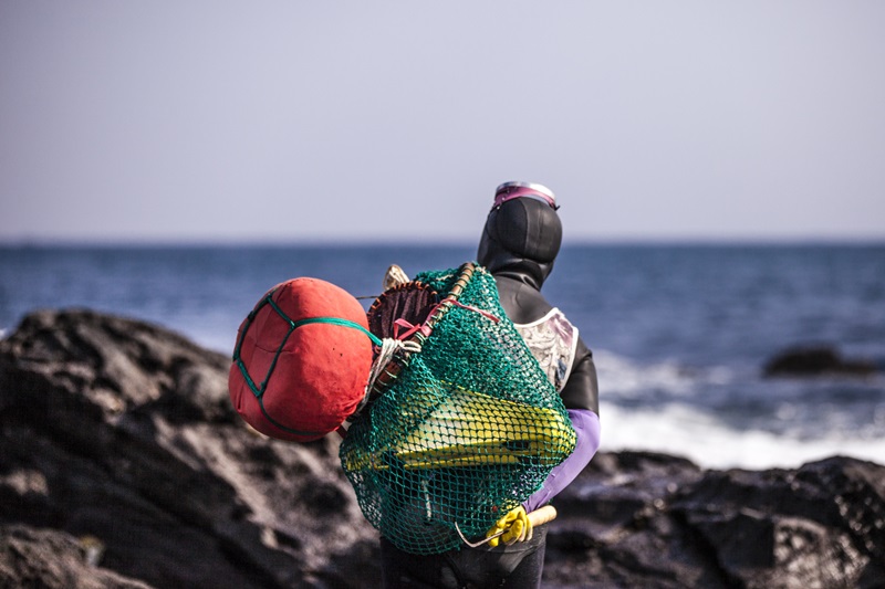 En la isla de Jeju-do se puede encontrar a las haenyeo o recolectoras de marisco.