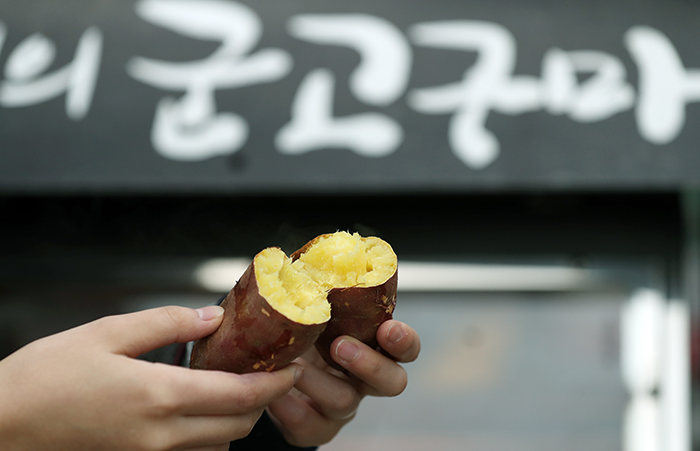 ▲ 호호 불어가며 한입 베어 먹는 뜨거운 군고구마는 겨울 간식으로 제격이다. 코리아넷DB