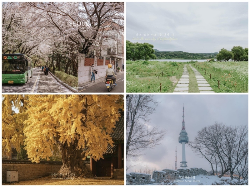 Las cuatro estaciones de Corea a través del objetivo | Ppágina de Dreamblue en Facebook