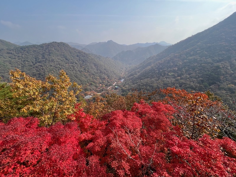 La foto muestra una vista panorámica de la montaña Naejangsan, tomada desde el pabellón Yeonjadae, en el observatorio de la montaña. El 26 de octubre, días antes de que las hojas de otoño se tornaran amarillas o rojas, una periodista de Korea.net visitó el Parque Nacional Naejangsan.