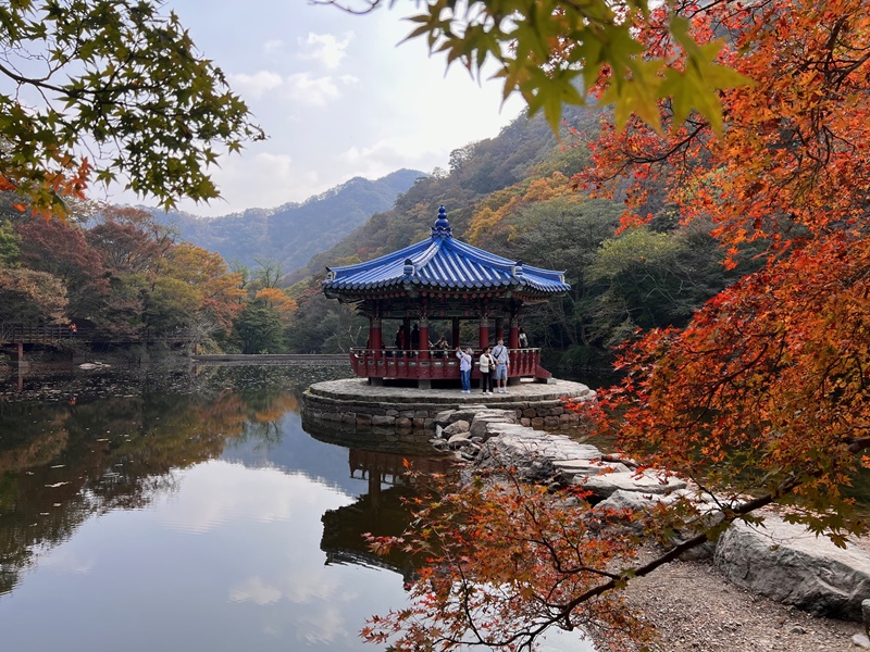 El pabellón Uhwajeong, ubicado cerca del Centro de información para visitantes, es un lugar representativo para tomar fotografías de las hojas de otoño en el Parque Nacional de Naejangsan.