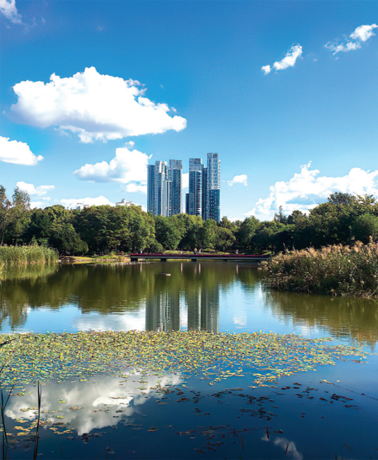 Seoul Forest is a large urban park where people can feel the breath of nature in the heart of the city