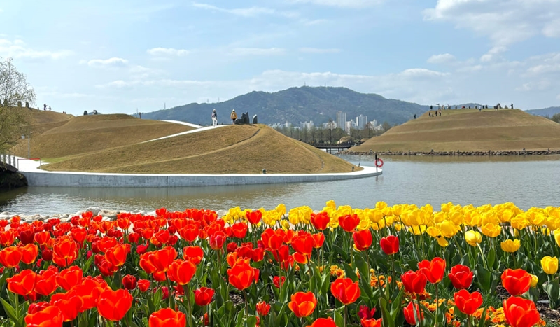 El Jardín Nacional de la Bahía Suncheonman y el Humedal de la Bahía Suncheonman, en la ciudad de Suncheon, provincia de Jeollanam-do, fueron los destinos turísticos con más visitantes del país. La foto muestra el jardín lleno de tulipanes en abril del año pasado. | Página oficial del Jardín Nacional de la Bahía de Suncheonman en Facebook