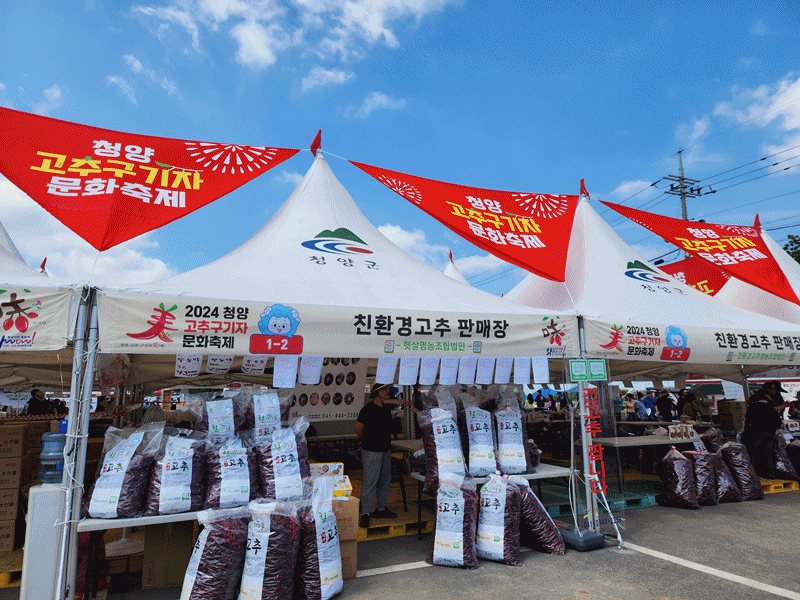 Las fotos capturan algunos de los instantes más significativos de la 25ª edición del Festival Cultural del Pimiento Picante de Cheongyang, que se llevó a cabo del 30 de agosto al 1 de septiembre, en el Área del Parque de la Salud de los Cien Años, en el condado de Cheongyang-gun, en la provincia de Chungcheongnam-do. El 'pimiento de Cheongyang' es una de las variedades de pimiento más picantes y destacadas en Corea. Recibió su nombre en honor a la provincia, lugar donde fue desarrollada en 1983 por el profesor Yoo Il-woong.