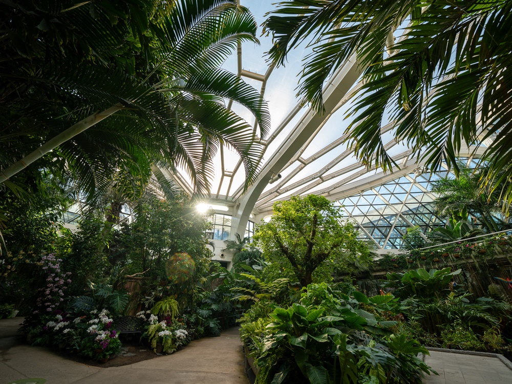 Una visita a los invernaderos del Parque Botánico de Seúl le permitirá disfrutar del paisaje veraniego en cualquier época del año por su esplendor verde.