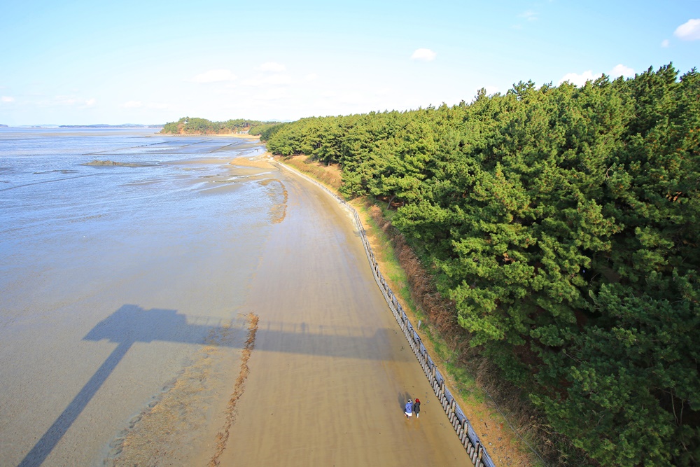 Se muestra la llanura de marea de Seocheon junto al parque Songrim Janghang. | KTO