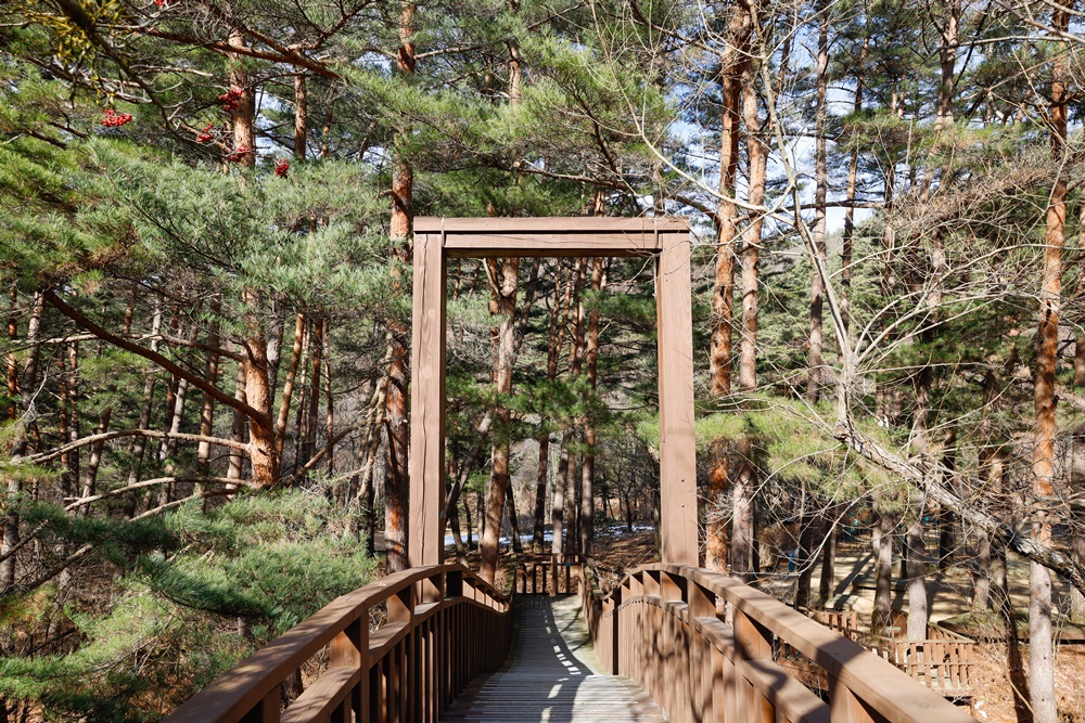 Se muestra uno de los siete jardines del Jardín Botánico de Especies Endémicas de Corea. | KTO