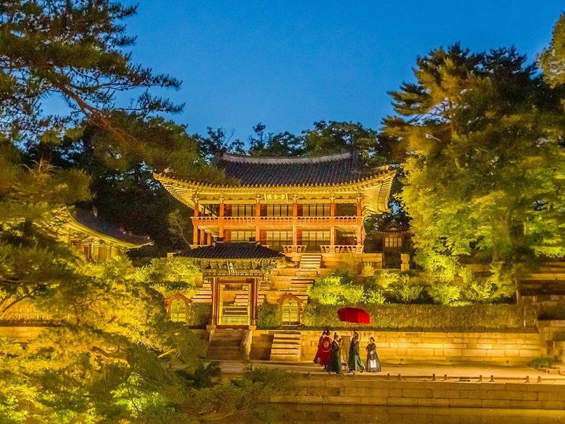 Vista nocturna del palacio Changdeokgung 