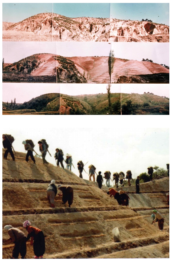 Estas fotografías tomadas entre el año 1973 y el 1977 muestran la reforestación del puerto de Yeongilman en Pohang, provincia de Gyeongsangbuk-do. 