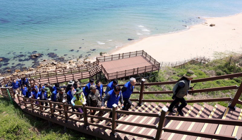 El ministro de Cultura Yu In Chon participa el 8 de mayo en el programa Camino de la Paz de la DMZ en Goseong, caminando por una pasarela cercana a la valla costera. Esta zona, restringida al acceso civil, ha conservado su ecosistema intacto y se valora por su alto valor ecológico. | Ministerio de Cultura, Deportes y Turismo