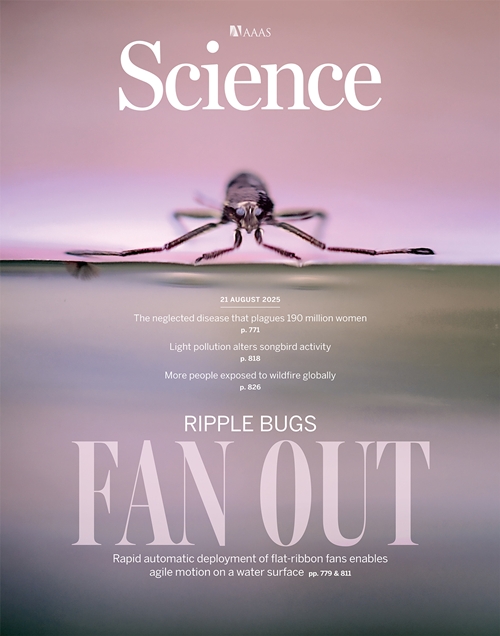 Un equipo de investigación dirigido por Koh Je-Sung, profesor de ingeniería mecánica en la Universidad de Ajou, en Suwon, provincia de Gyeonggi-do, identificó el mecanismo de movimiento del insecto acuático rhagovelia y desarrolló un microrrobot inspirado en él. El estudio fue portada de la edición del 21 de agosto (hora local) de la revista Science. | Science