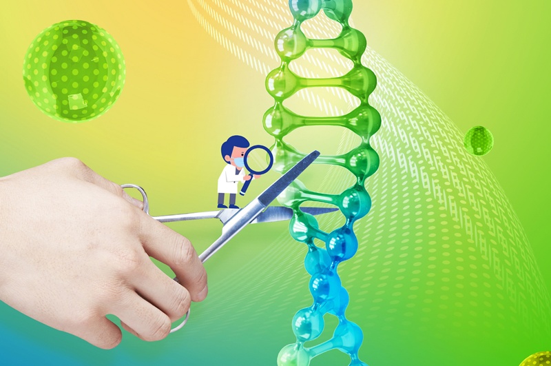 Un equipo de investigación coreano desarrolló una tecnología de tijeras genéticas capaz de destruir el ADN mutado de las células cancerígenas al cortar únicamente una de las hebras de la doble hélice. | iclickart (La reproducción o redistribución no autorizada de esta imagen está prohibida de acuerdo con las leyes de derechos de autor.) 