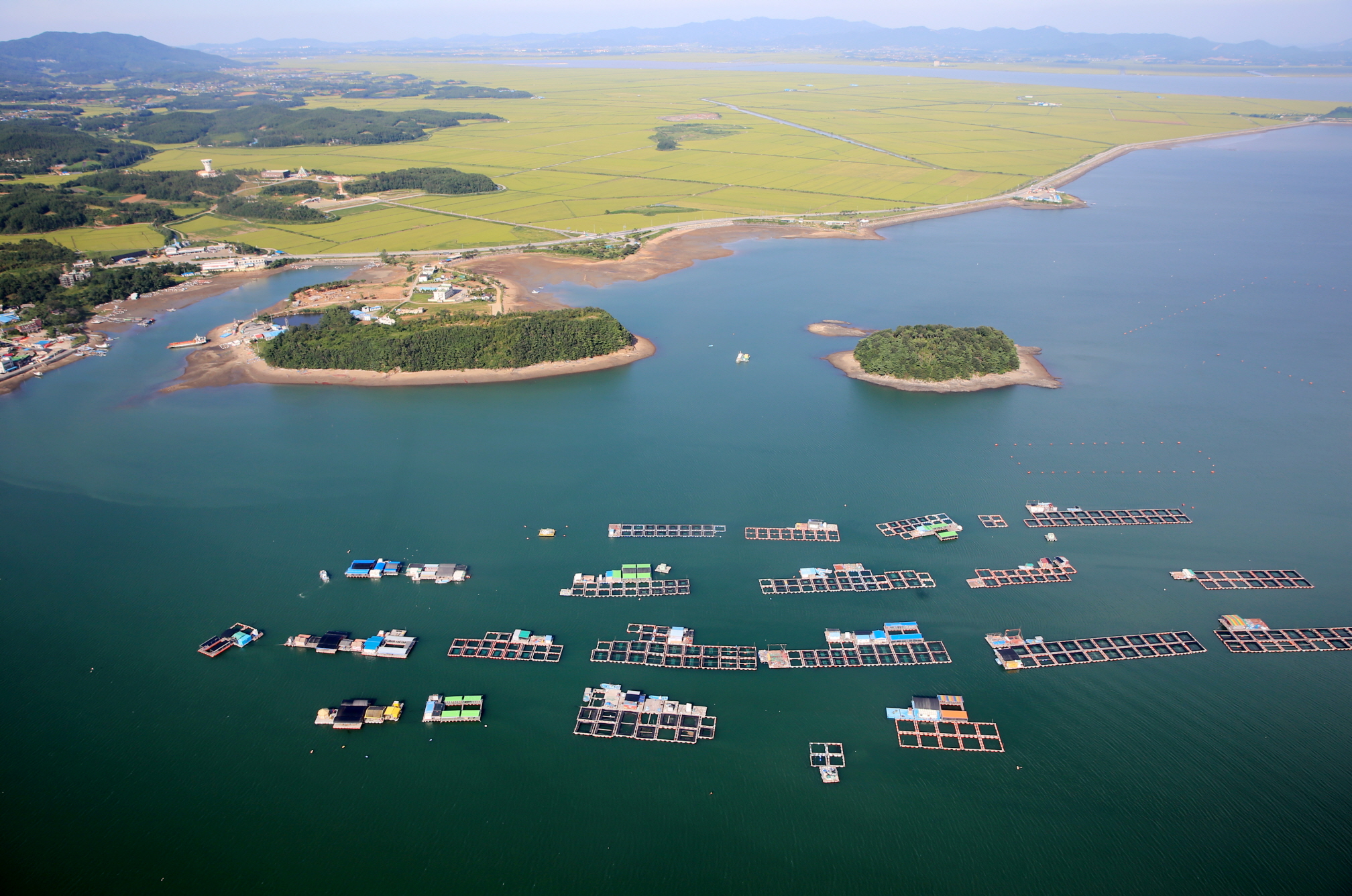 La foto muestra una granja marina de jaulas flotantes en la bahía de Cheonsuman, en el condado de Taean-gun, provincia de Chungcheongnam-do. | Oficina del condado de Taean-gun