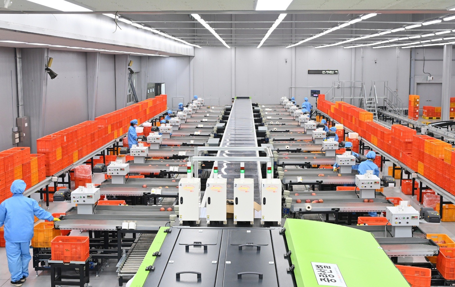 La foto muestra el Centro de Procesamiento Inteligente (APC, por sus siglas en ingl&eacute;s) de chamoe (mel&oacute;n coreano), donde se utilizan sistemas de clasificaci&oacute;n basados en inteligencia artificial (IA) para optimizar la distribuci&oacute;n de la fruta. | Provincia de Gyeongsangbuk-do