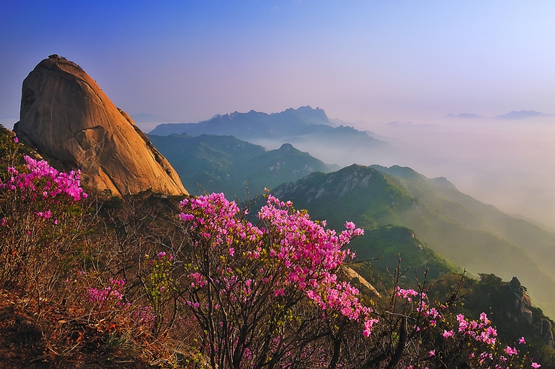 Vista del Parque Nacional del Monte Bukhansan en primavera. | Servicio de Parques Nacionales de Corea Por Margareth Theresia