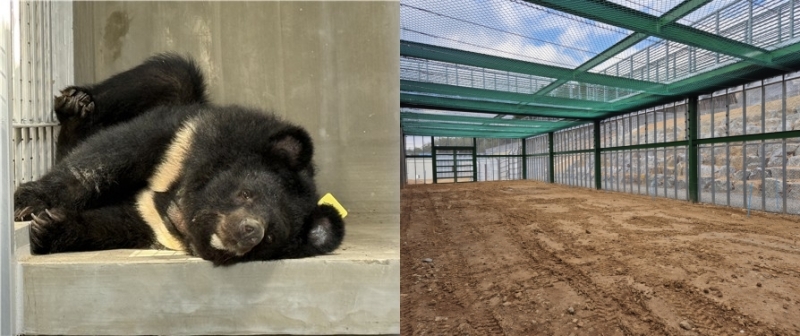 Un oso en el Centro de Protección de Osos de Gurye en el condado de Gurye-gun, provincia de Jeollanam-do (izda.), e interior del centro (dcha.). | Ministerio de Clima, Energía y Medio Ambiente