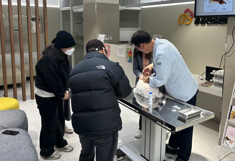 El personal del Centro Veterinario P&uacute;blico de Gimpo, provincia de Gyeonggi-do, atiende a un perro. | Centro Veterinario P&uacute;blico de Gimpo