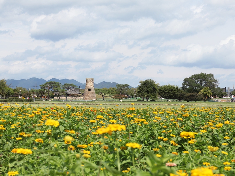 El observatorio Cheomseongdae, en la ciudad de Gyeongju, provincia de Gyeongsangbuk-do, es uno de los destinos tur&iacute;sticos m&aacute;s populares del pa&iacute;s. | Park Daejin