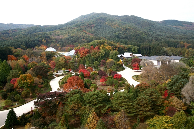 Vista panor&aacute;mica del Bosque de Gwangneung | Servicio Forestal de Corea