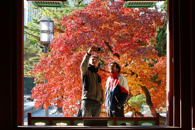 Dos turistas extranjeros se toman una foto ante el paisaje otoñal del palacio Deoksugung, en Seúl. | Korea.net DB