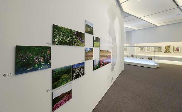 청와대 사랑채 기획전시실에서는 한국의 야생화 전(展)이 열리고 있다. 전한 기자