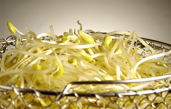 Cold_Food_Remedies_01.jpg