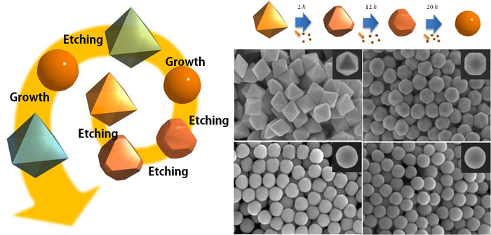 금 나노입자의 성장과 부식의 반복 과정을 보여주는 모식도 (사진제공: 미래창조과학부)