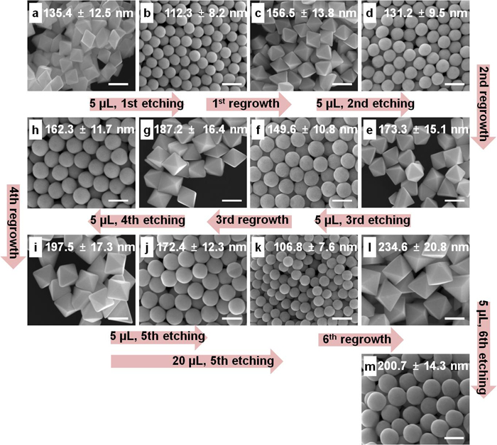 한국과 미국 연구팀이 공동 개발한 구형 금 나노입자의 전자현미경 사진 (사진제공: 미래창조과학부)