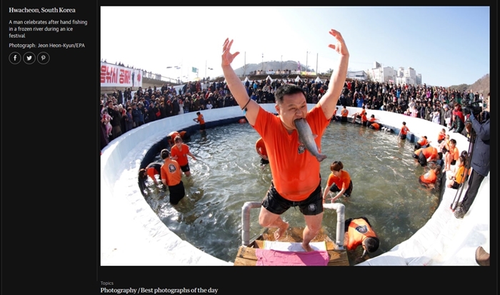 The Guardian, el diario británico ha publicado el 6 de enero una foto de la pesca de la trucha y otra de la pesca con las manos desnudas del festival, como ‘la mejor foto del día’. En la foto, un participante está posando después de pescar una trucha, con sus manos desnudas. | Captura de la página web de The Guardian