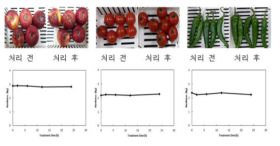 사과, 방울토마토, 고추의 플라즈마 처리실험 전(왼쪽) 후(오른쪽) 상태 비교