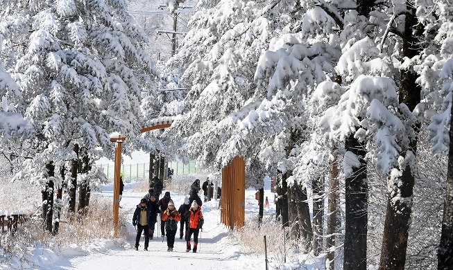 Nieve en el paso de la montaña Daegwallyeong