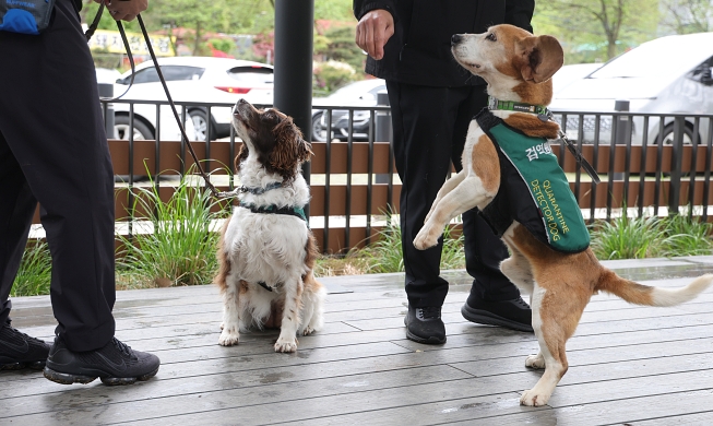 Campaña para promover la adopción de perros detectores jubilados