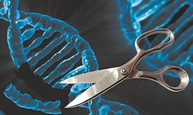 Desarrollan una nueva tecnología que destruye células cancerígenas con un solo corte de ADN